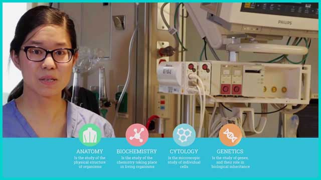 Medical Video Production